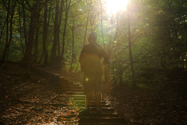istock Man in the forest and looking at the sunlight 1319671136