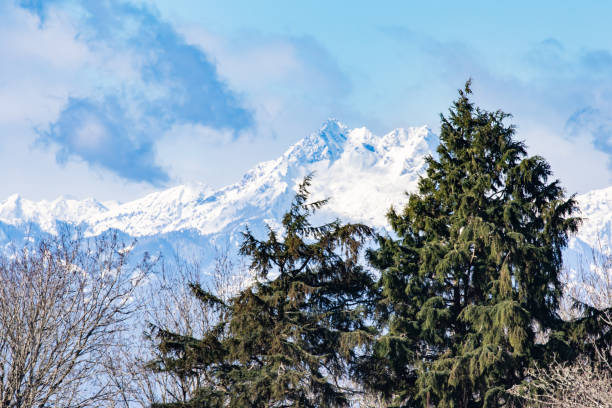 istock View of Olympic Mountains from Discovery Park Seattle Vantage Point 1319672673