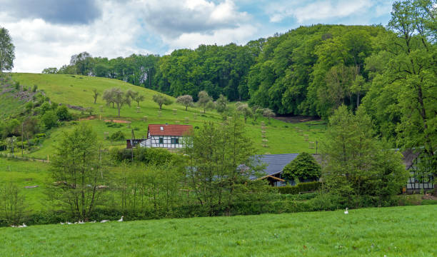 istock Landscape near Bergisch Gladbach, Germany 1319672799