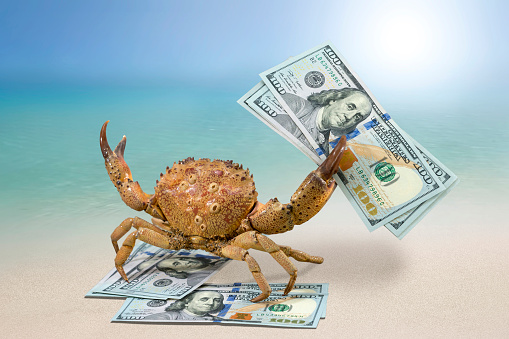 Crab on the beach and US dollars,