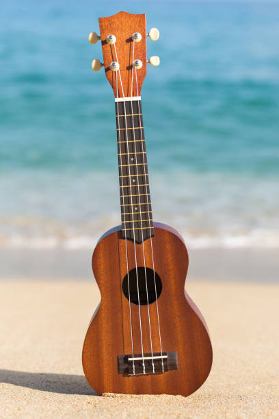 chitarra ukulele hawaiana sulla sabbia della spiaggia vicino alla riva dell'oceano. - musica tropicale foto e immagini stock