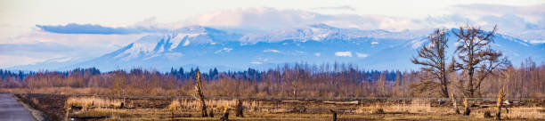 Landscape View of Everett Washington Spencer Island Unit from the Waste Pond Trail Landscape View of Everett Washington Spencer Island Unit from the Waste Pond Trail everett washington state stock pictures, royalty-free photos & images