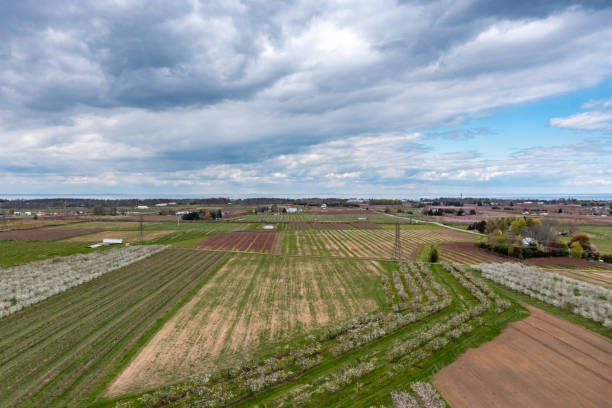istock Farm and orchard in spring at Niagara falls area, Grimsby, Canada 1319681335