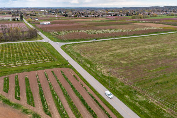 istock Farm and orchard in spring at Niagara falls area, Grimsby, Canada 1319681369