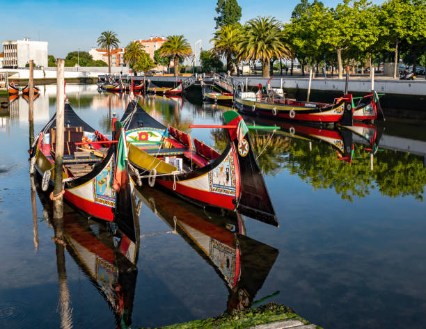 istock Boats in Aveiro 1319686811