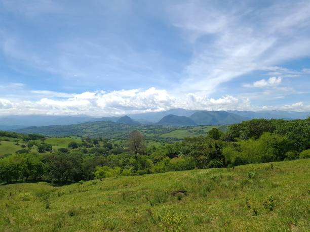 istock Panoramic and rural landscape in Tamesis. 1319686839