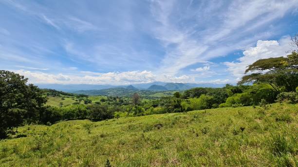 istock Panoramic and rural landscape in Tamesis. 1319686886