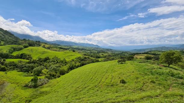 istock Panoramic and rural landscape in Tamesis. 1319686944
