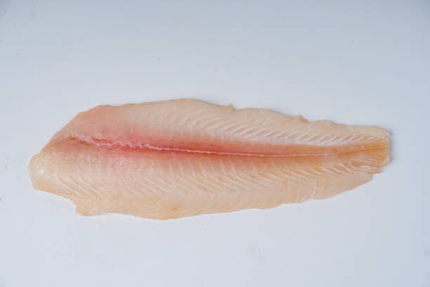 fresh fillet dory fish on a white background - dory imagens e fotografias de stock
