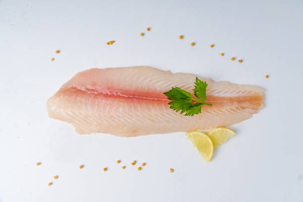 fresh fillet dory on a white background - dory imagens e fotografias de stock