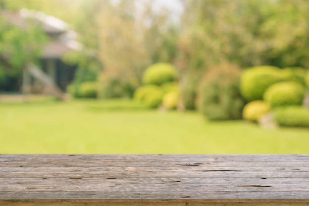 istock Empty wood table top with abstract blur park garden background 1319694203