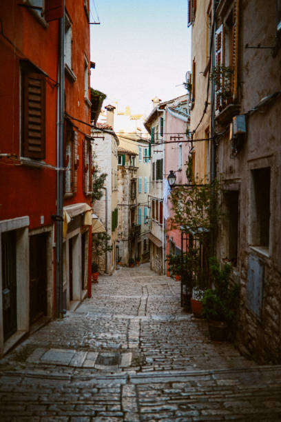 istock Streets of Rovinj old town 1319694338