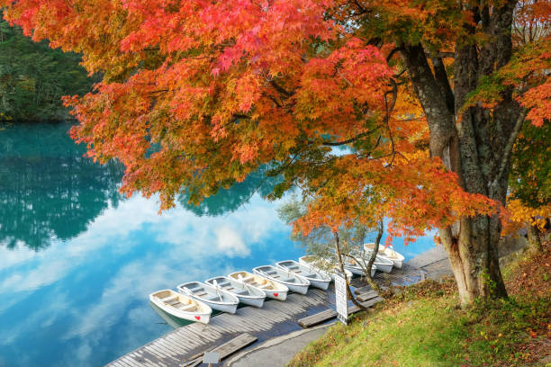 осенние пейзажи в районе урабандай в префектуре фукусима, япония - autumn leaf november japan стоковые фото и изображения