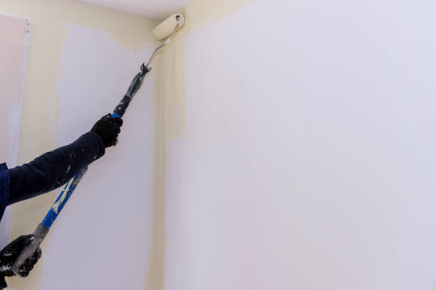istock Long handle roller brush applying white primer paint on wall with home renovation 1319704516