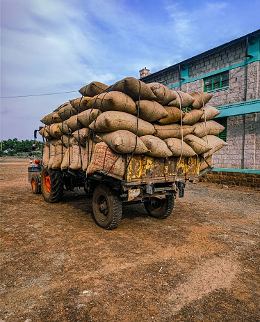 Truck loaded with bags containing peanuts for transportation, India
