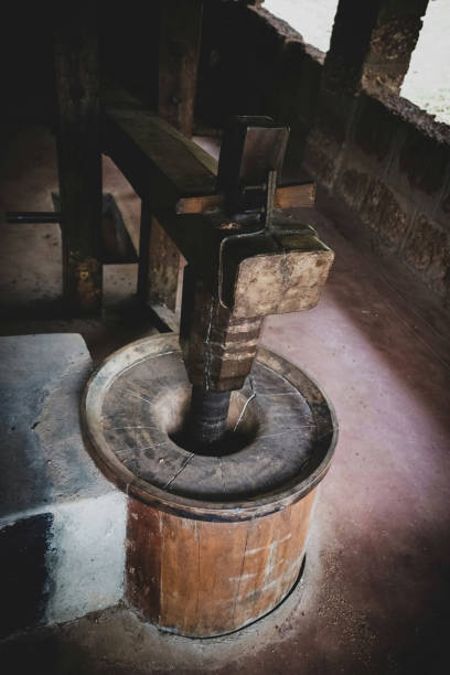 istock Ancient wooden hand pounded beaten rice machine , Mangalore, India 1319706569