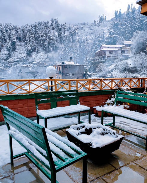 snowy manali, himachal pradesh, índia. - bench winter snow mountain - fotografias e filmes do acervo