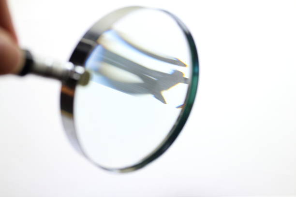 istock Mushimegane looking diagonally 1319713434