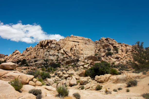 Large Rocky Outcrop in Joshua Tree National Park These rocks were formed in the ancient times, back when the evils of the world had to be held at bay. Giant rock formations were put up in the Joshua Tree so that those forces couldn't make it to our world. Now they are crumbling and will soon fall, as may our world. outcrop stock pictures, royalty-free photos & images
