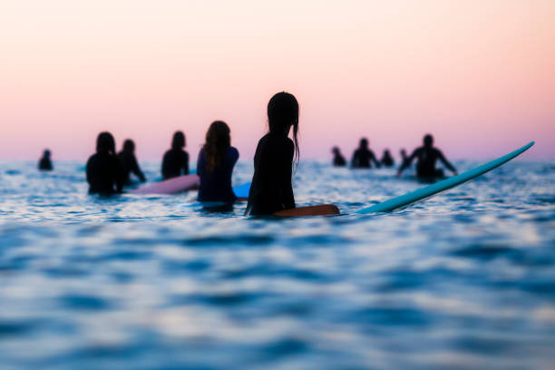 Surfers waiting in the ocean for a wave. A group of surfers in silhouette are waiting in the water for a wave to catch after sunset with a pink sky. surfing photos stock pictures, royalty-free photos & images