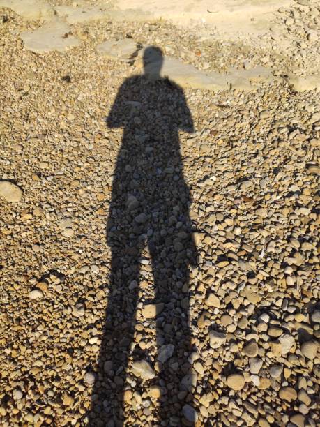 istock Long shadow of the man standing on the sandy beach 1319722907
