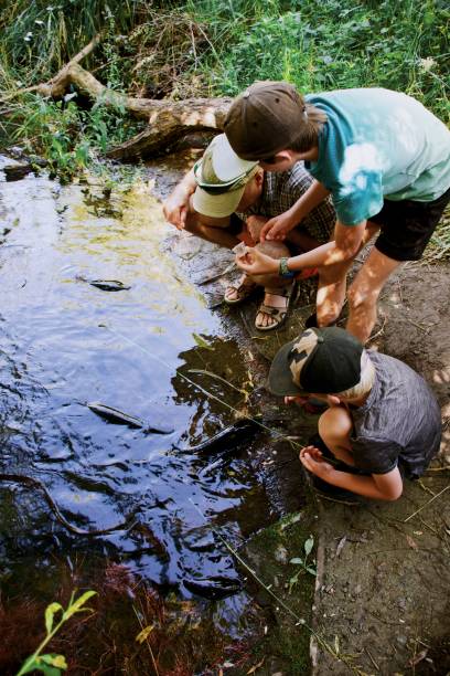 istock Father and Children Feed Freshwater Eels 1319726603