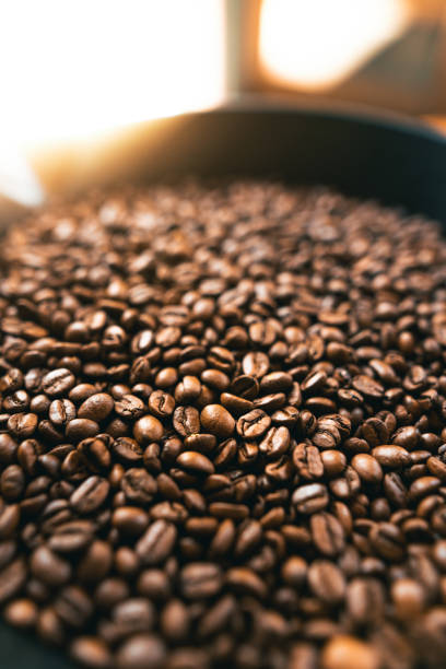 istock Roasted coffee beans in the machine at a coffee shop 1319730880