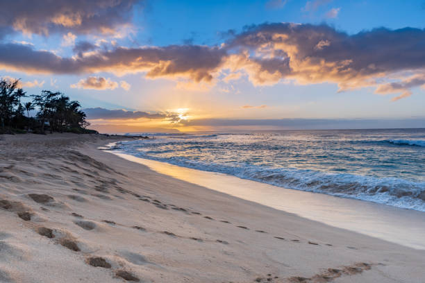 Sun setting over Sunset Beach, Hawaii View of Sunset Beach on the North Shore of Oahu, Hawaii at sunset with palm trees, beach, and waves rolling in over rocks in the foreground sunset beach hawaii stock pictures, royalty-free photos & images