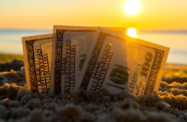 Three dollar bills are buried in sand on sandy beach near sea at sunset dawn Three dollar bills are buried in sand on sandy beach near sea at sunset dawn in summer close-up. Money grows in sand. Dollars buried in ground. Growing money in sand. One hundred dollar bill money. emergence photos stock pictures, royalty-free photos & images