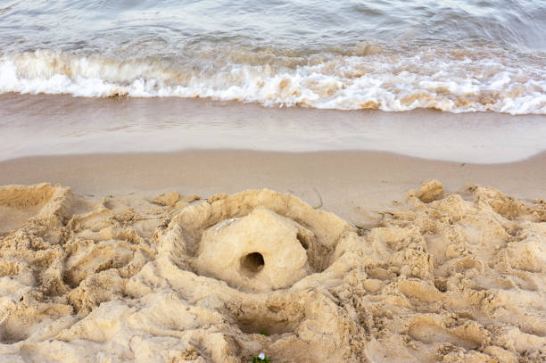istock Sea surf, waves rolls on a sandy beach 1319739570