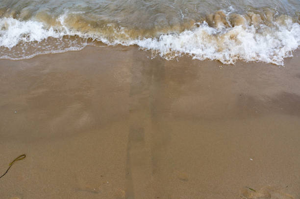 istock Sea surf, waves rolls on a sandy beach 1319739674