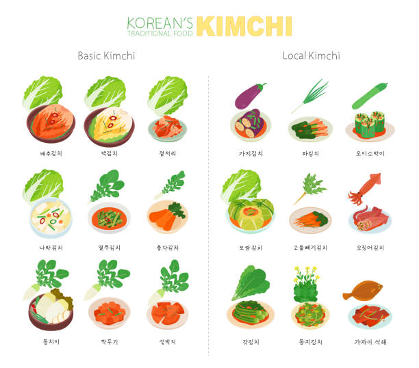 Korean food Kimchi menu. vector design illustrations. Kimchi stock illustrations