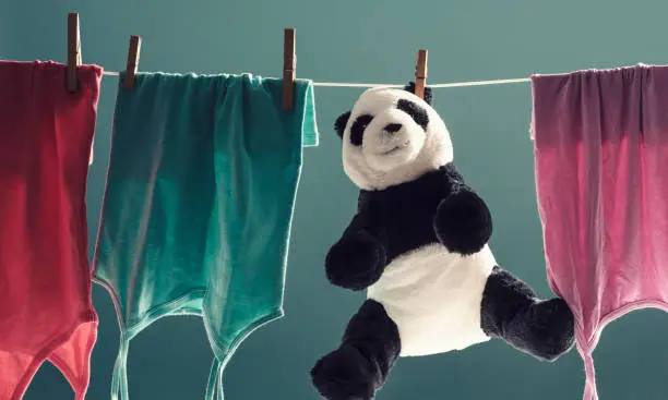 Clothes and cute panda plushie hanging on a clothes line and drying