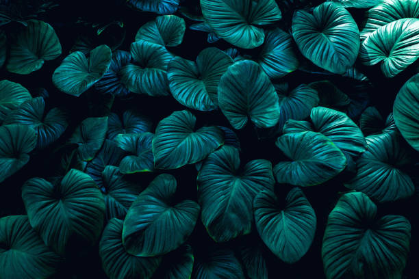 istock Full Frame of Green Leaves Texture Background. 1319741798