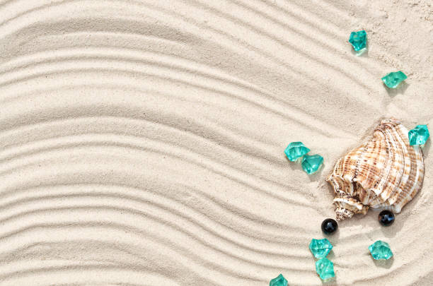 a large seashell with blue stones on the sand