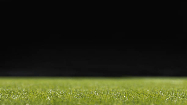 istock Selective focus of grass with dew drops on a black background 1319744451