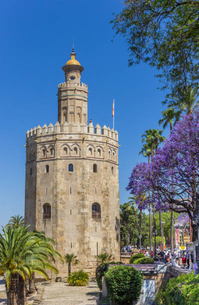 golden tower at the riverbank park in sevilla - seville sevilla torre del oro tower imagens e fotografias de stock