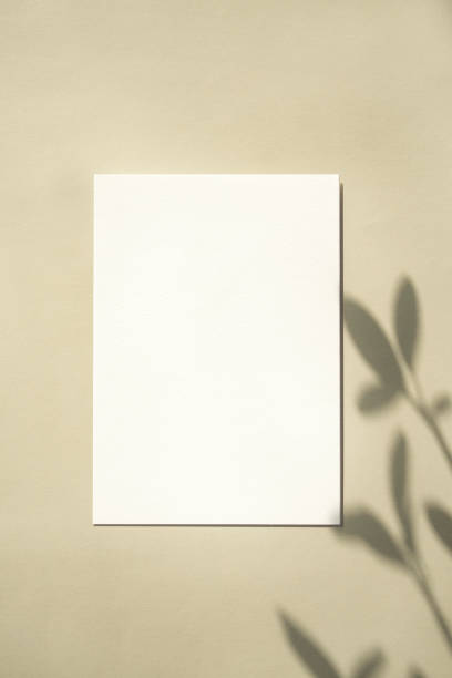 istock Shadow and Card-mockup on Vintage Background 1319747383