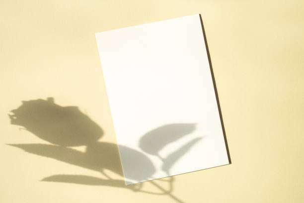istock Shadow and Card-mockup on Vintage Background 1319747385