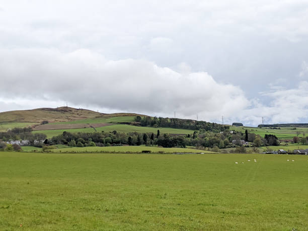 istock Rural Scotland - green fields and agriculture landscape in spring 1319748452