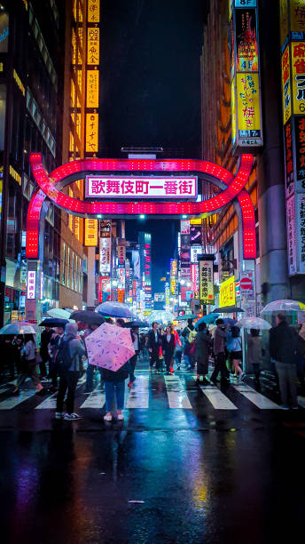 istock Night Life in Kabuki-Cho 1319748951