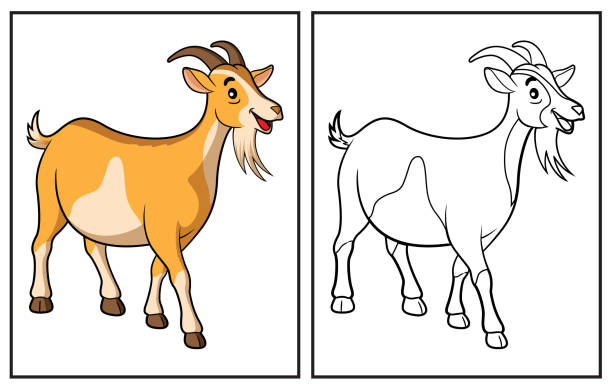 Coloring book cute goat Coloring book cute goat.  Coloring page and colorful clipart character. Vector cartoon illustration. goat stock illustrations