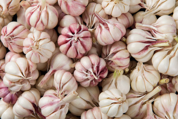istock Garlic Cloves and Garlic Bulb background 1319755155