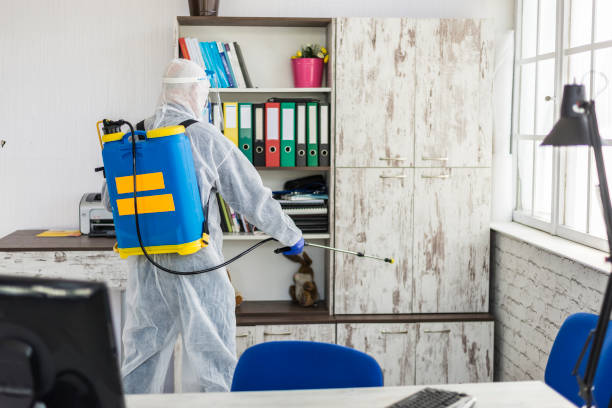 istock A doctor is doing disinfection work in the office. 1319755655