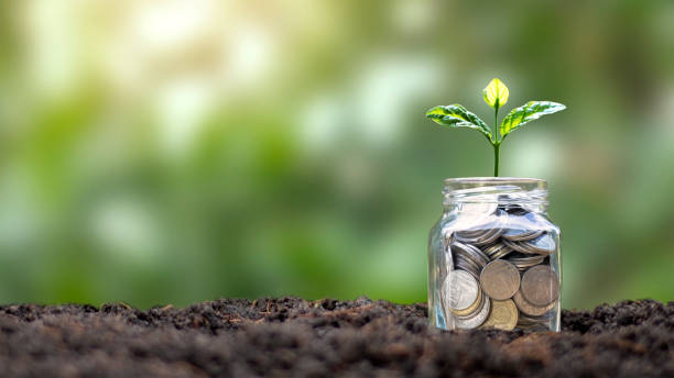 istock Tree growing from money saving jar and green nature backdrop, money growth concept. 1319756920