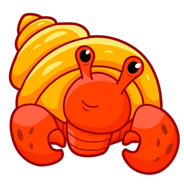 Cancer hermit cartoon. Hermit crab clipart vector illustration Cancer hermit cartoon. Hermit crab clipart vector illustration hermit crab stock illustrations