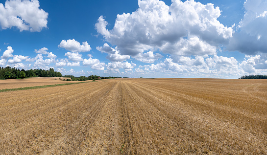 Stubble field panorama in rural nature in summer with impressive cloudscape