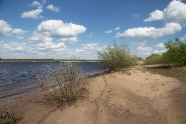 istock Landscape on the river in summer 1319764447