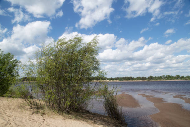 istock Landscape on the river in summer 1319764474