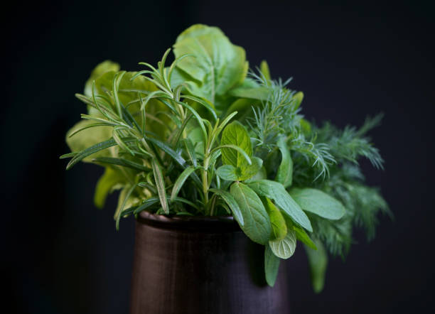istock Fresh spicy herbs - mint, rosemary, dill, arugula and spinach in a black cup on a black background 1319764825